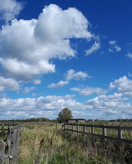 Uitkerkse Polder wolkenlucht Anneleen Lybeer